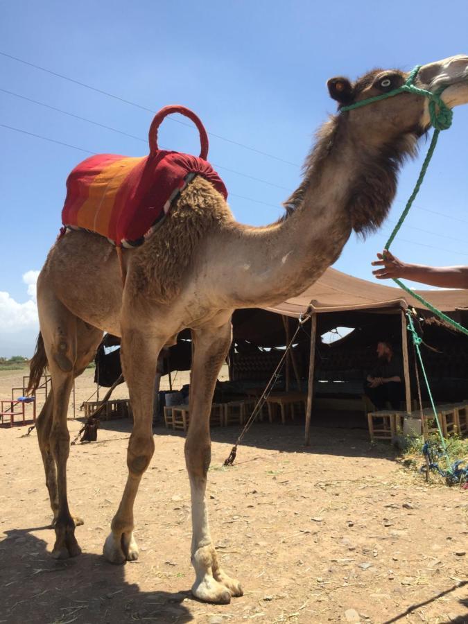 Riad Le Marrakech Berrima Marrákes Kültér fotó